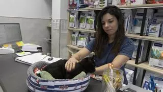 Ontinyent ya tiene casi una mascota por cada tres habitantes