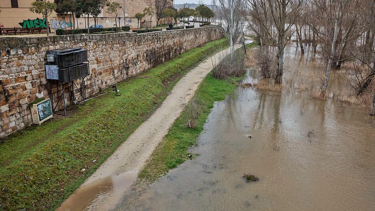 Paseos ribereños, parcialmente inundados. | Nico Rodríguez