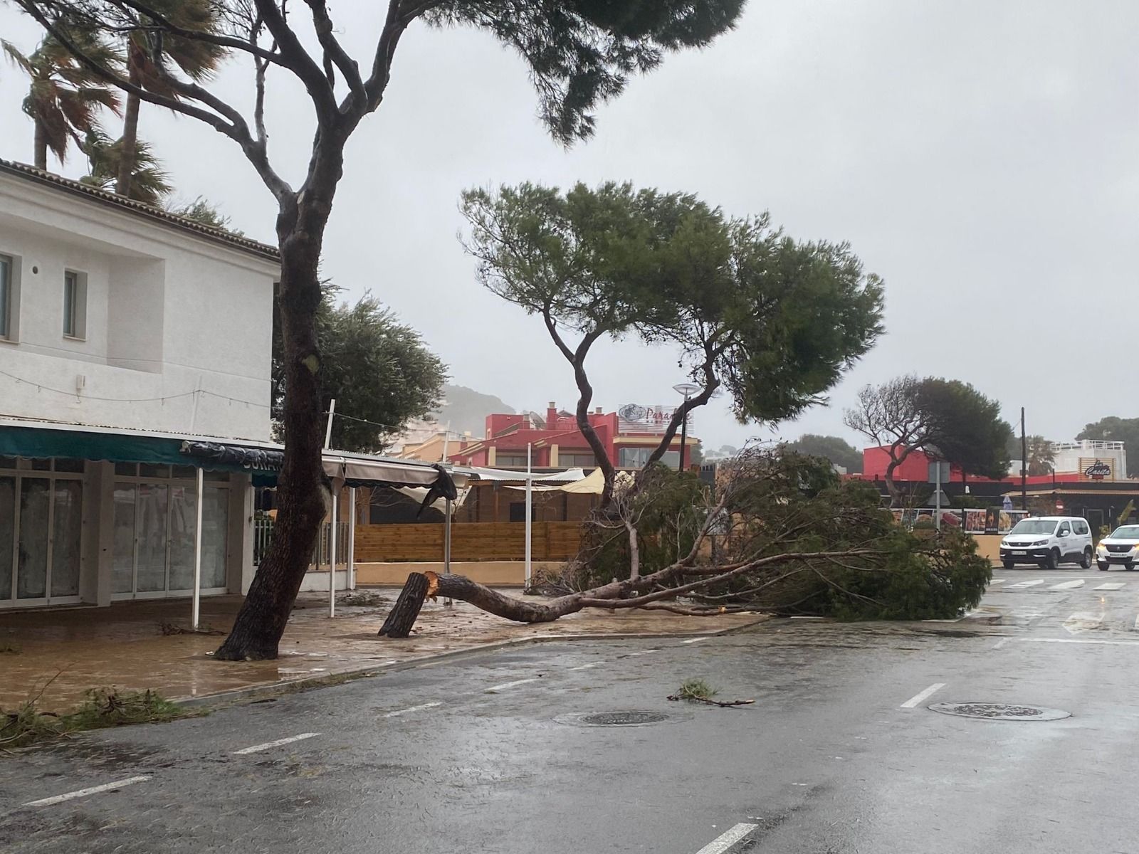 La borrasca Juliette deja abundantes daños en el Llevant de Mallorca