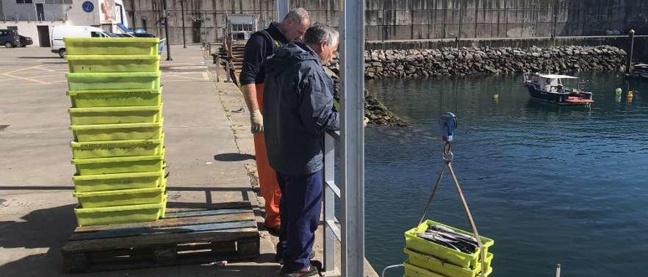 Pescadores descargando xarda en el puerto de Lastres, ayer.