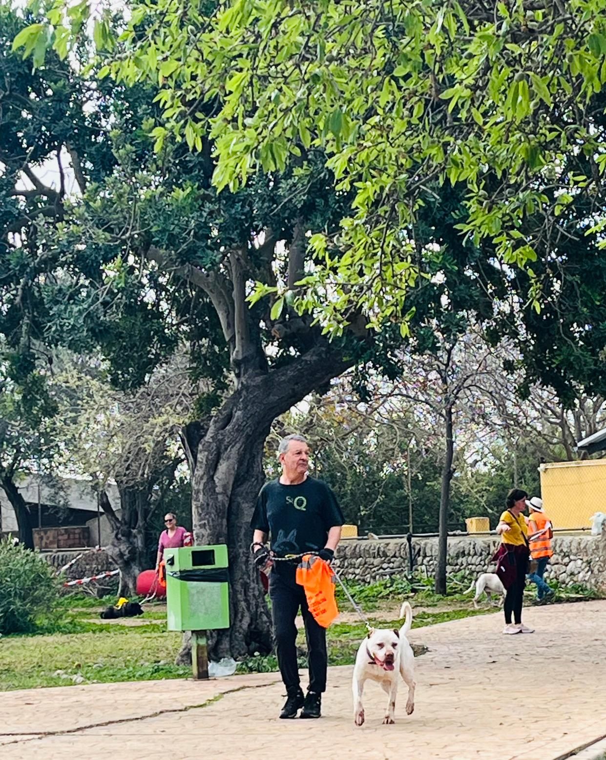 Así ha sido el desfile de Peluditos de Son Reus: Decenas de perros buscan un hogar en Mallorca