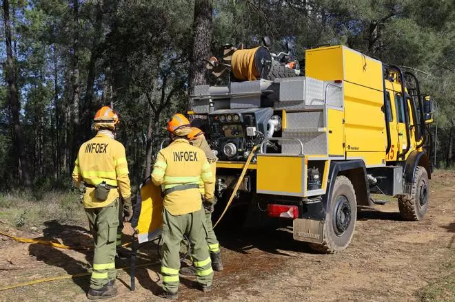 Estabilizado un incendio forestal en La Coronada tras activarse el nivel 1 de peligro