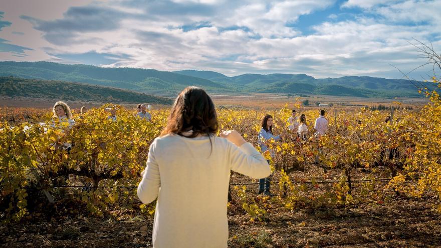 La federación de enoturismo oferta más de 155 experiencias para disfrutar de la cultura del vino