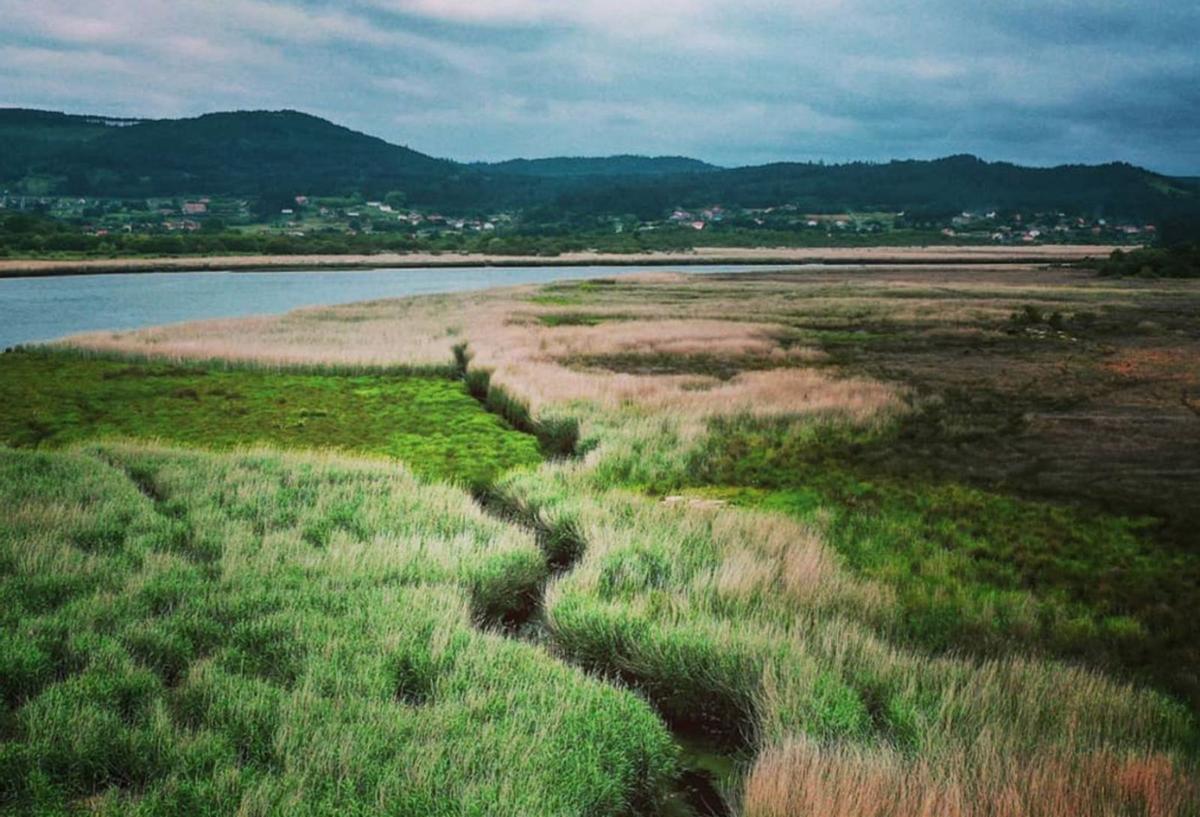 As Brañas de Laíño é unha das zonas húmidas máis grandes de Galicia, protexida pola Rede Natura 2000  | // CEDIDA