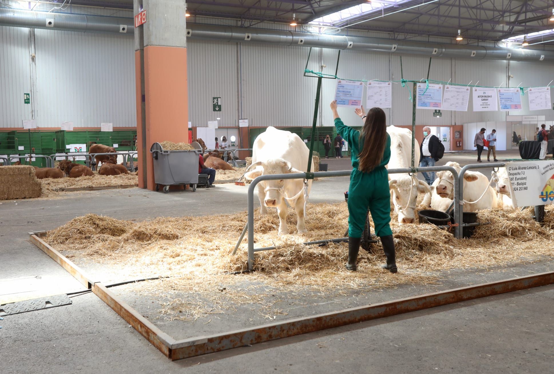 FOTOGALERÍA | La industria ganadera devuelve la alegría a la Feria de Zaragoza