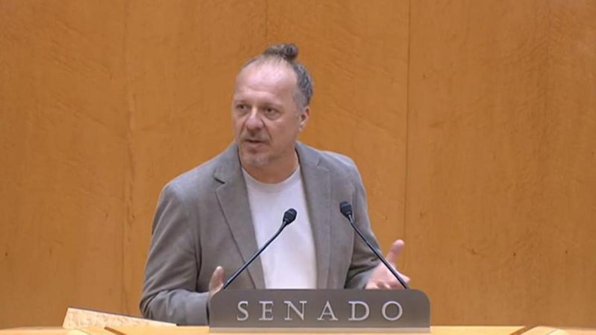 El senador Juanjo Ferrer durante una intervención en el pleno del Senado.