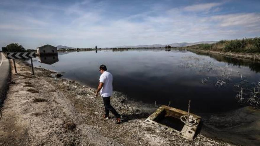 Campos inundados en la Vega Baja tras el paso de la gota fría.