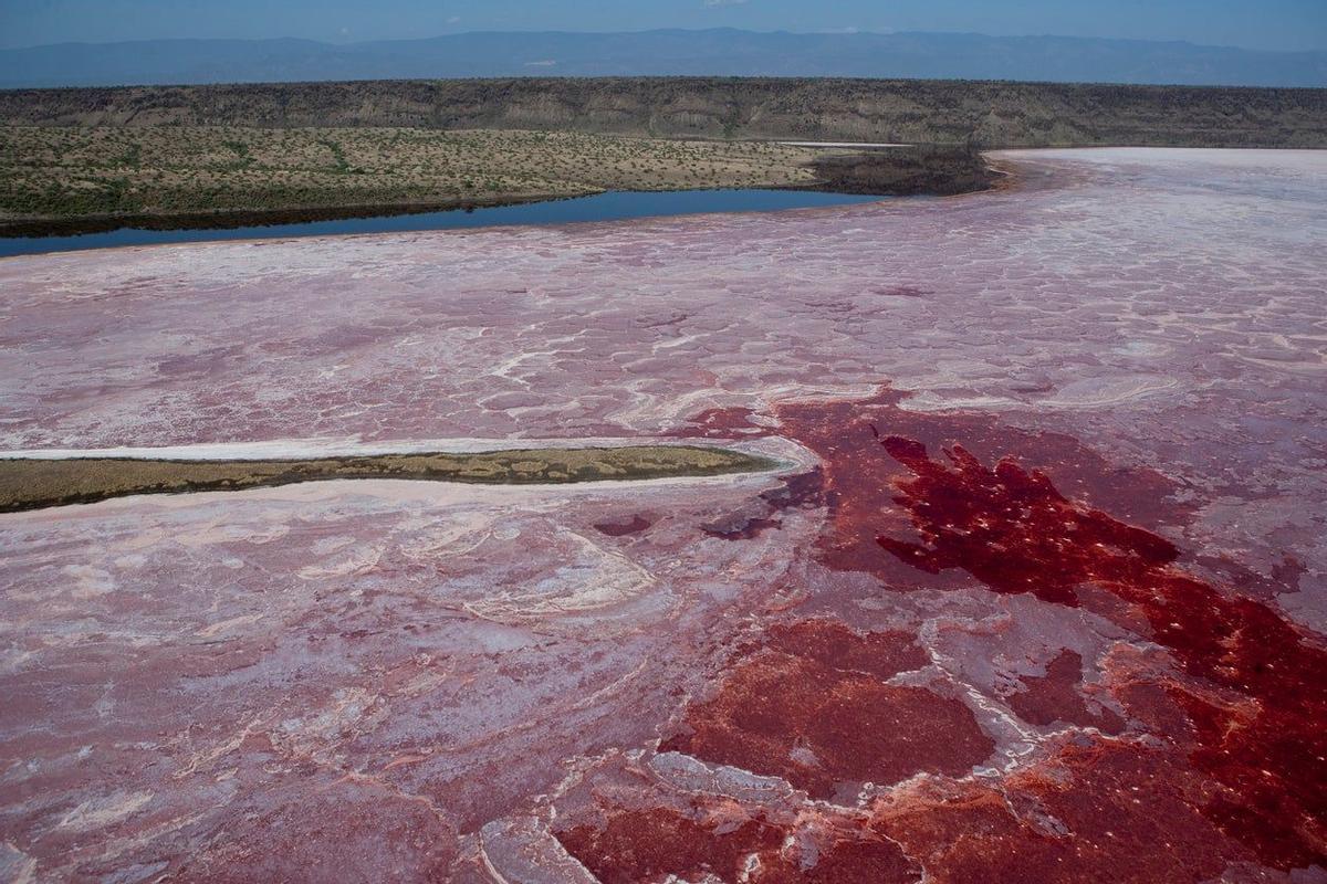 Lago Natron, Tanzania