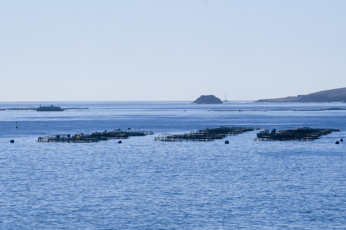 Piscifactorías en el litoral de Salinetas