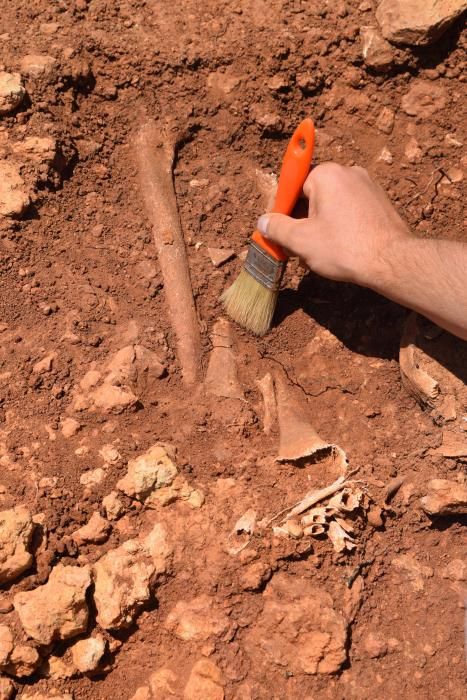 Hallada una tumba de época tardoantigua en Cala Martina