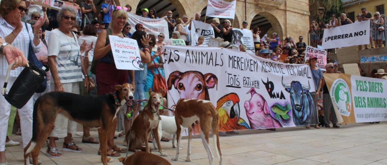 Denia Anula El Concurso De Rescate De Animales Al Quedar La Protectora Apad Eliminada Levante Emv