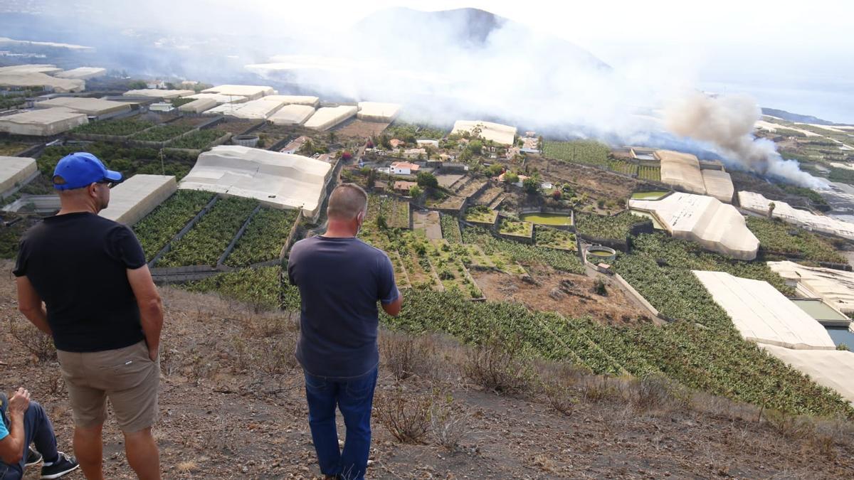 Un grupo de vecinos observa el avance de la colada del volcán de La Palma hacia el mar.