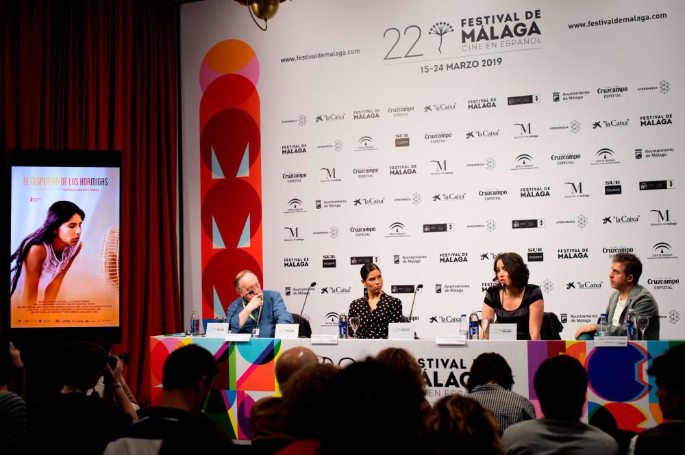 Festival de Málaga 2019 | Presentación de 'El despertar de las hormigas'