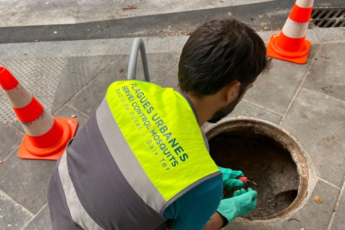 Personal del servei de control de plagues en un embornal de Figueres.