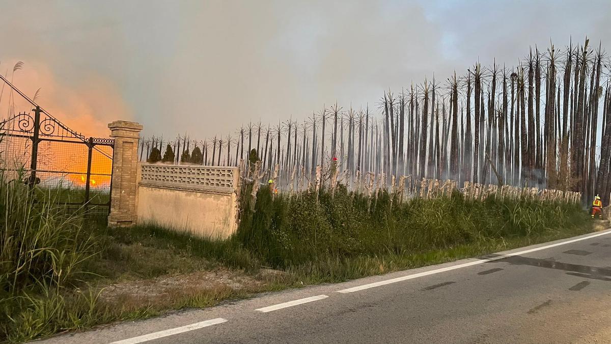 Un incendio en un palmeral de Cullera deja una gran columna de humo vista desde las poblaciones colindantes