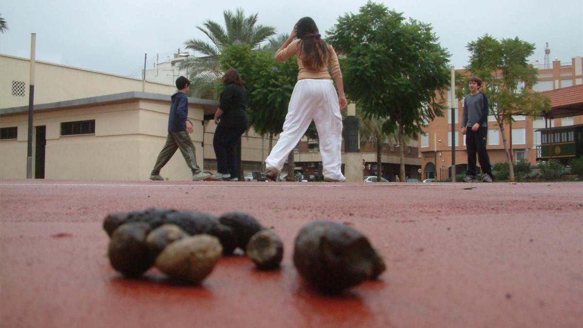 Multas en Vila-real por dejar cacas de perro en la calle