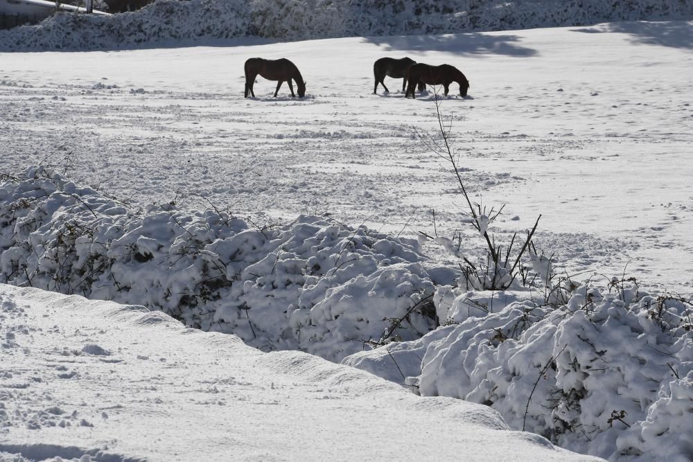 La nieve llega a la montaña de A Coruña