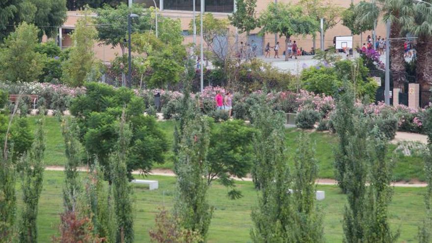 El parque La Marjal de la Playa de San Juan, uno de los que se riega con agua residual depurada