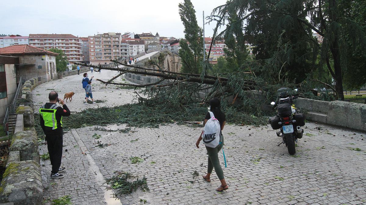 Las imágenes de un temporal en Ourense para la historia