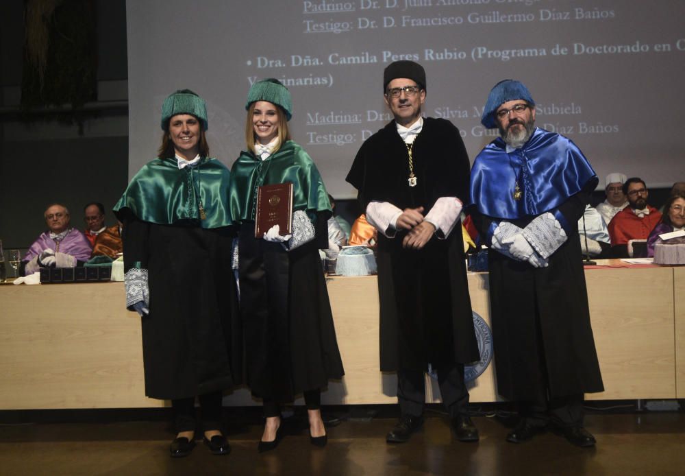 Santo Tomás de Aquino en la Universidad de Murcia