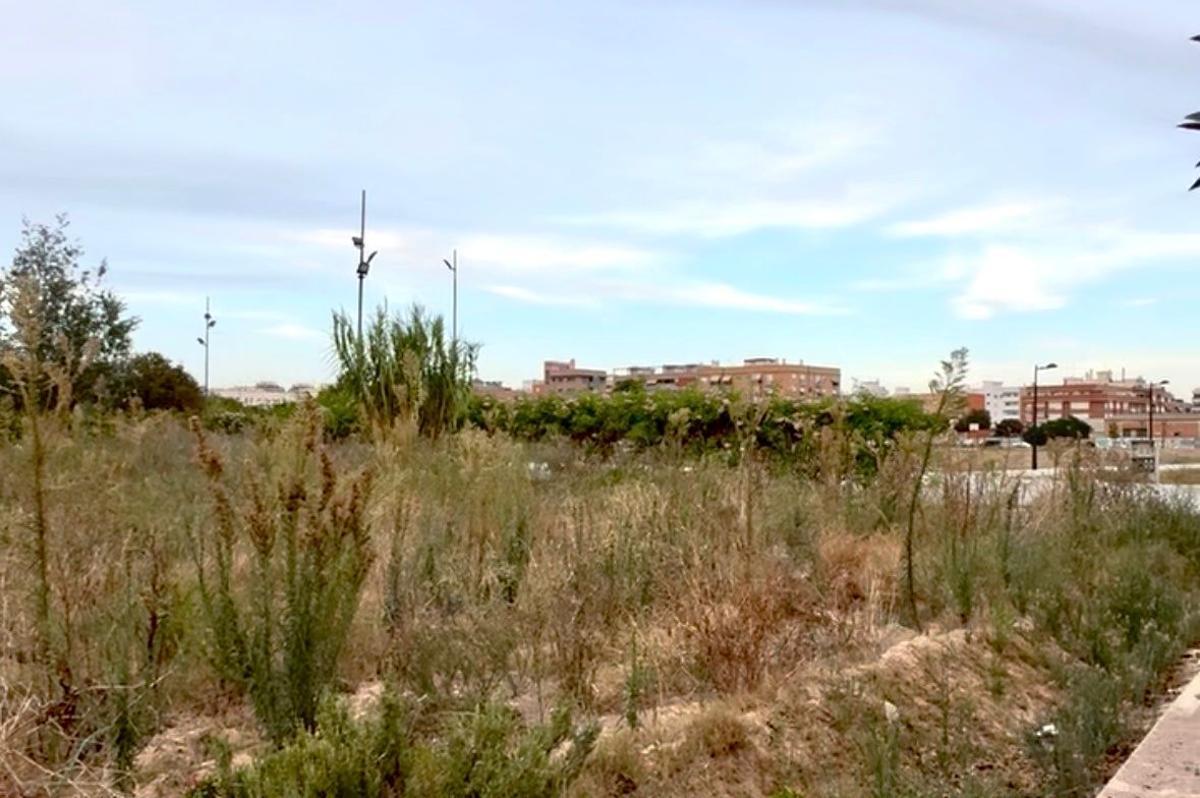 Degradación de los huertos urbanos de Sociópolis.