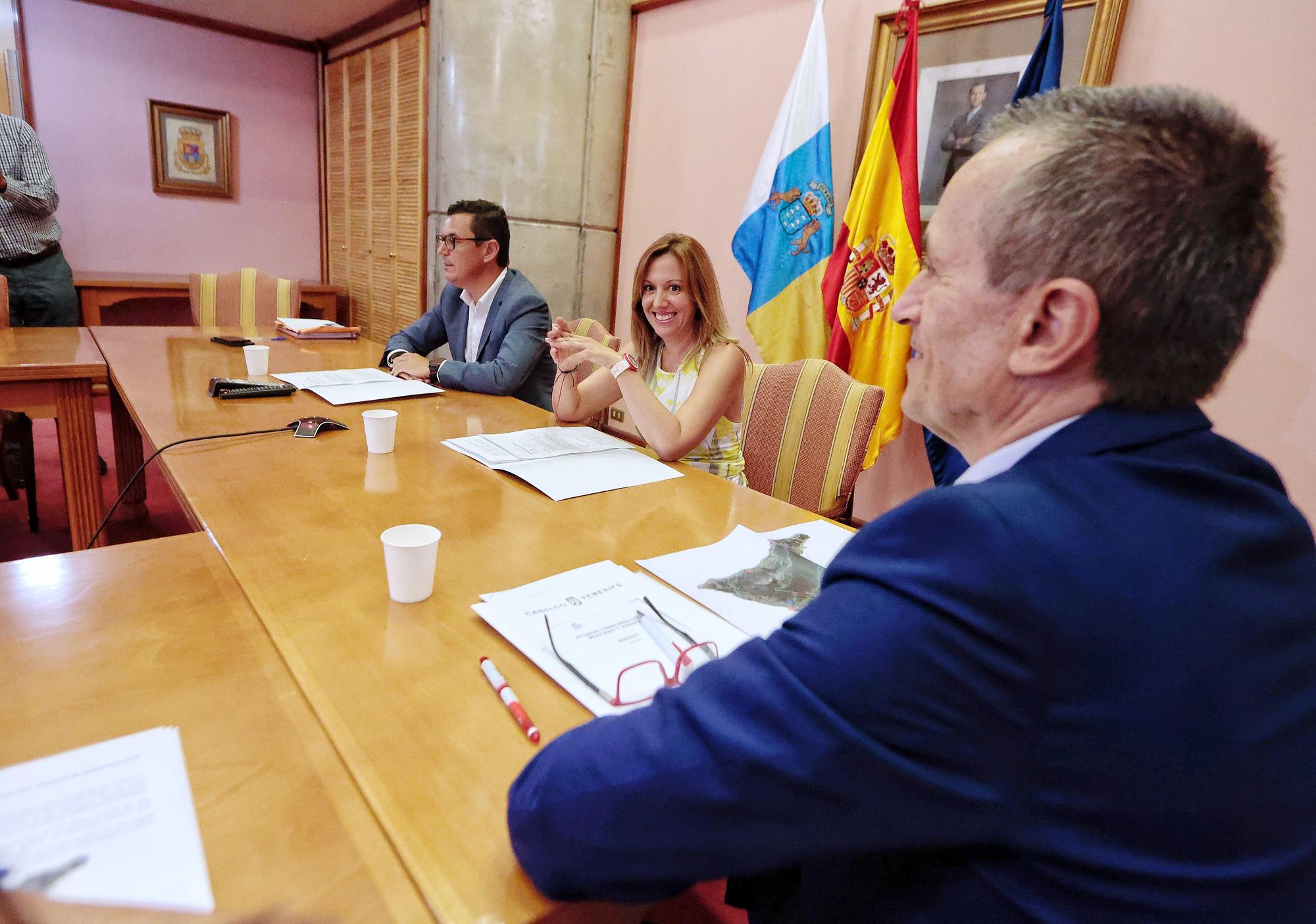 Reunión entre el consejero del Gobierno de Canarias, Pablo Rodríguez y la presidenta insular, Rosa Dávila.