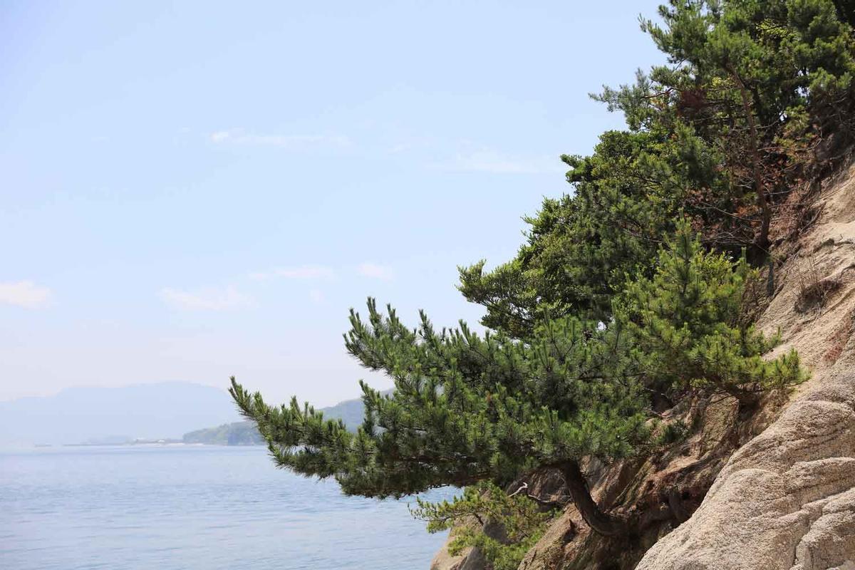 Isla de Okunoshima