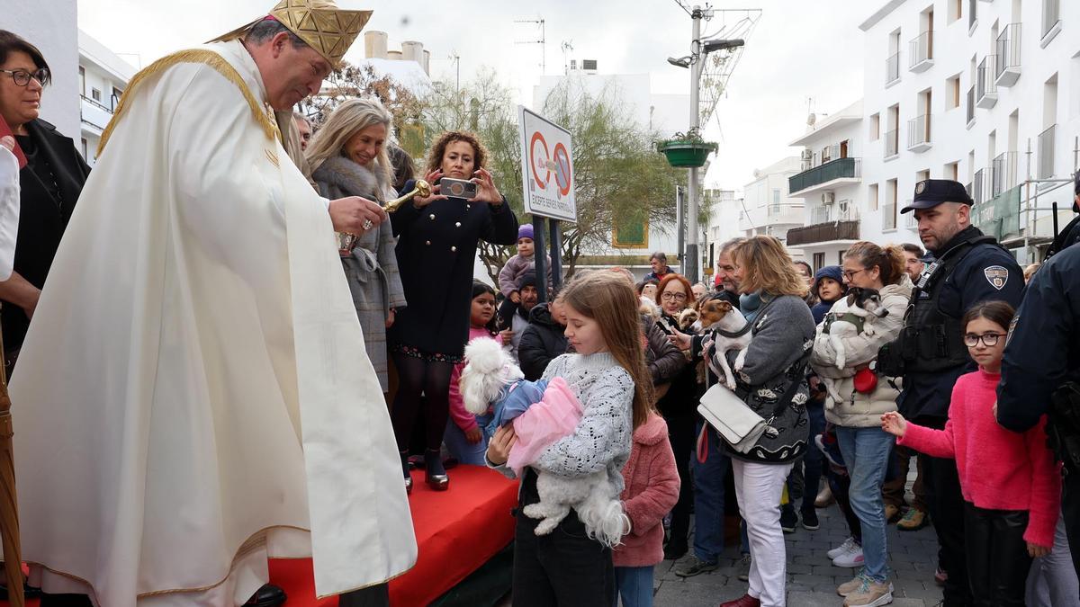 Todas las imágenes de la bendición de animales en Sant Antoni