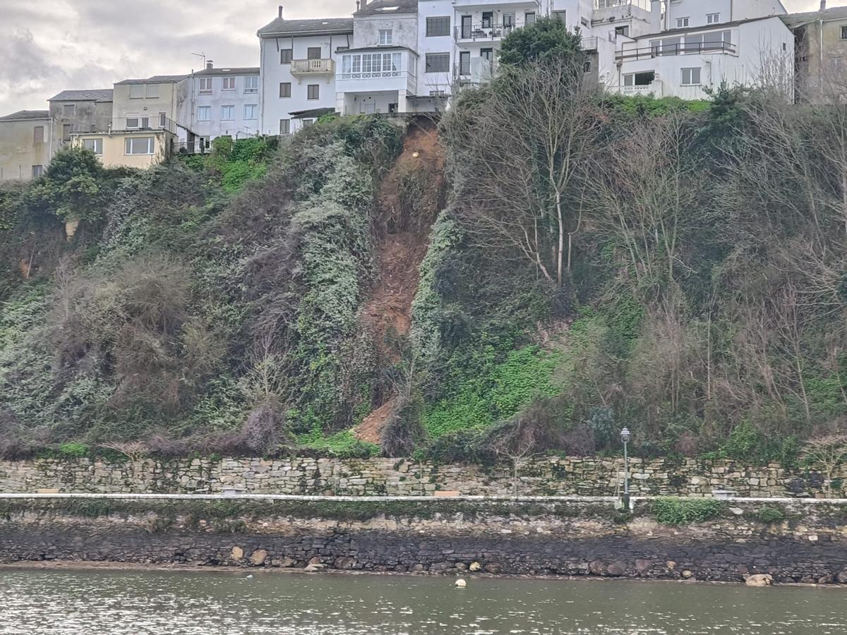 WhatsApp Image 2026-02-08 at 16.45.465