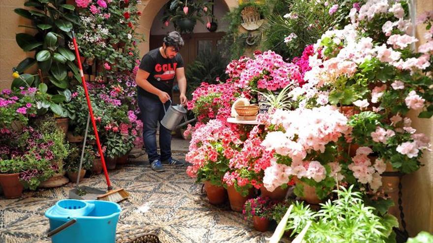 50 patios y 27 balcones compiten desde hoy por ser los más bellos