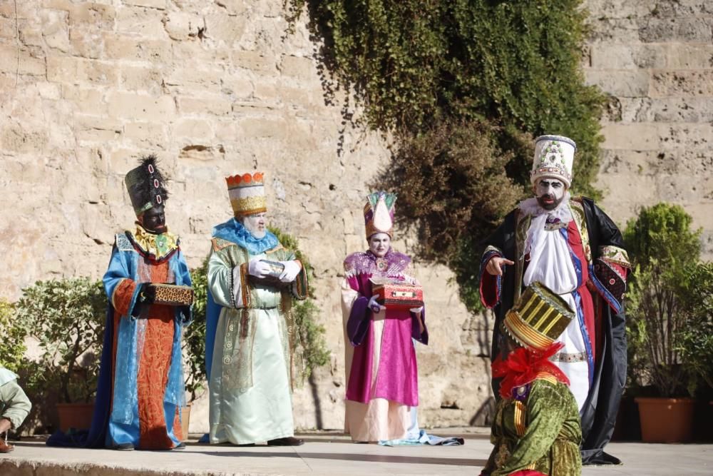 L'Adoració dels Reis llena ses Voltes