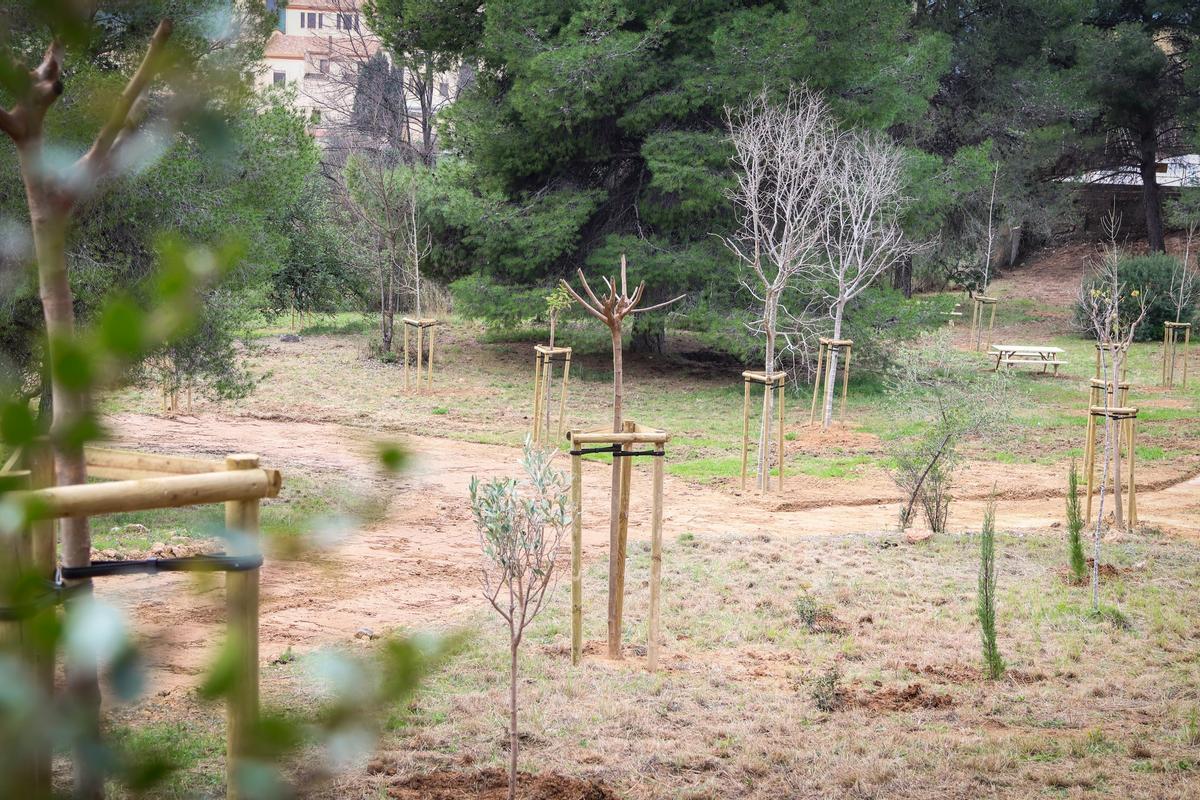 Detalle del nuevo paseo verde en Onda.