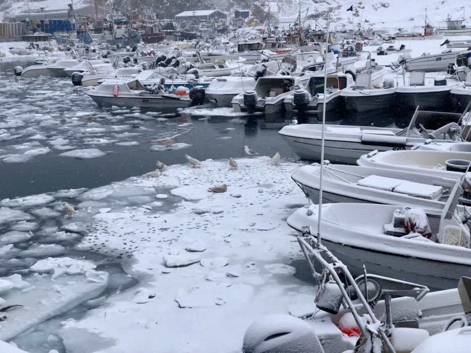 Tercer día en Illulissat