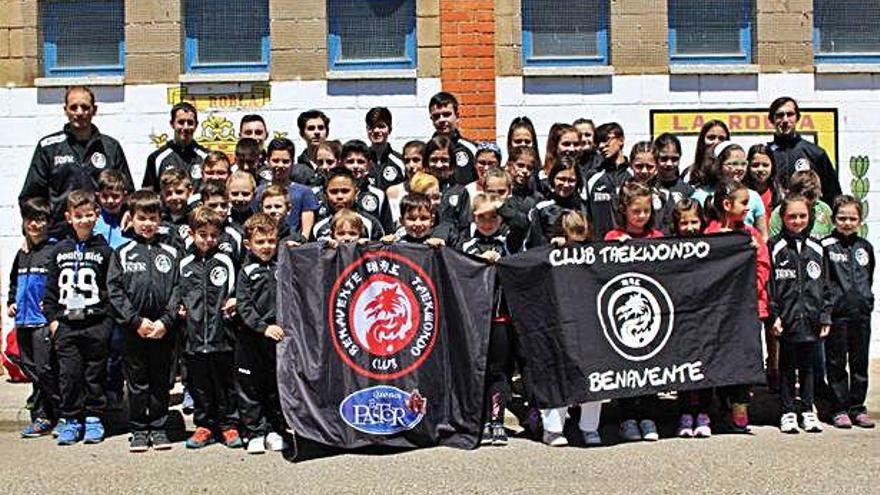 Los jóvenes luchadores del Club Taekwondo Benavente.