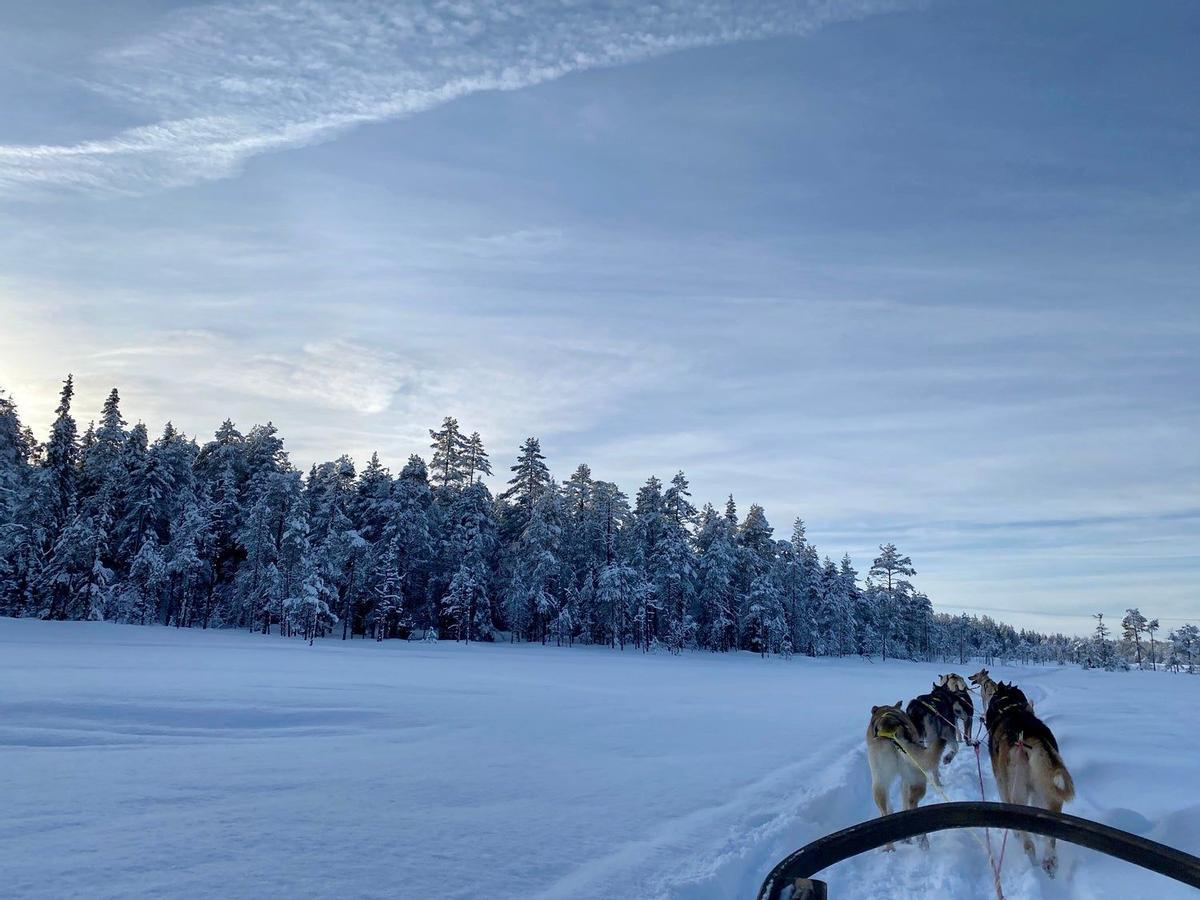 Rovaniemi, Laponia finlandesa, Finlandia