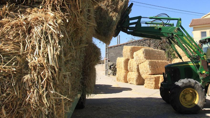 Fallece un hombre de 48 años al caerle encima una paca en un pueblo de Salamanca