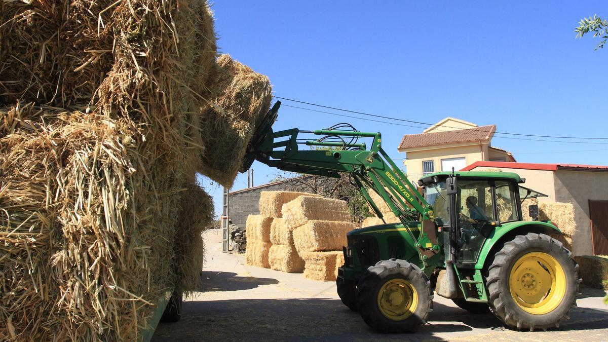 Un agricultor cargando pacas de paja