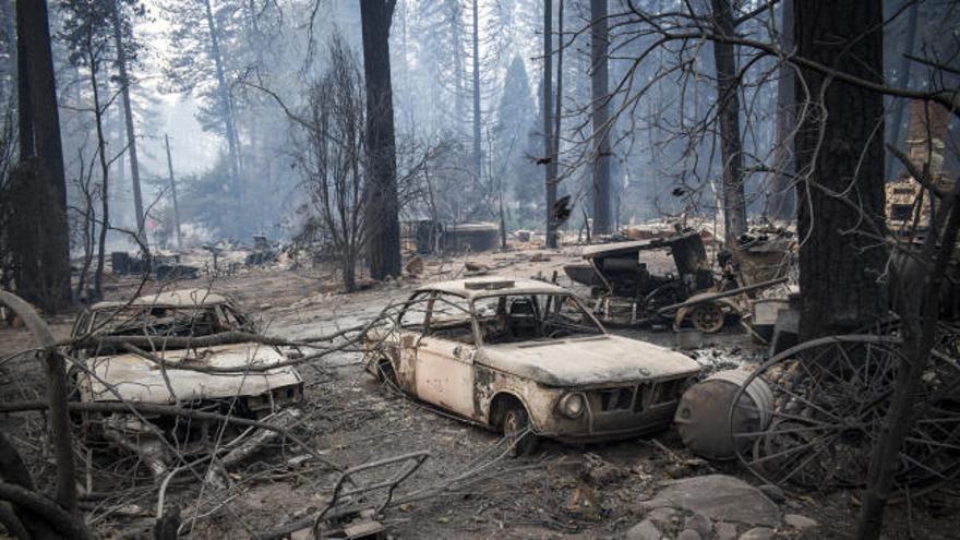 Se eleva a casi medio centenar el número de muertos en el incendio de California