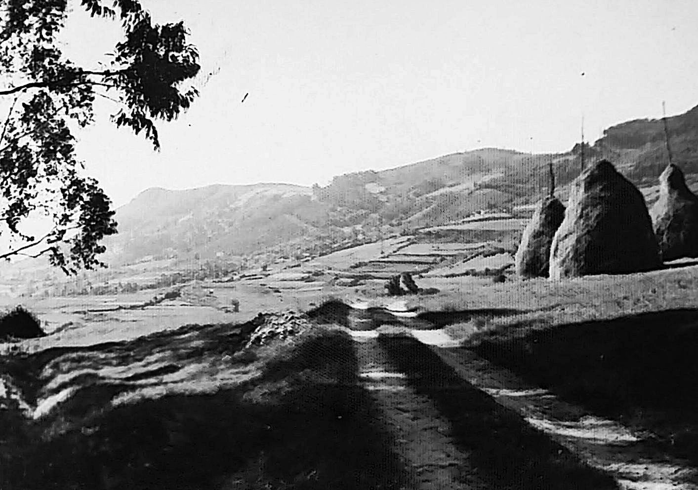 Una imagen del parque de Monte Alto a finales de los años sesenta del siglo pasado. | Vicente Álvarez
