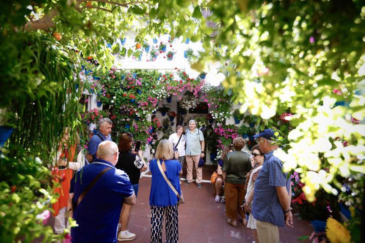 Principales premios del Concurso Municipal de Patios Cordobeses 2026