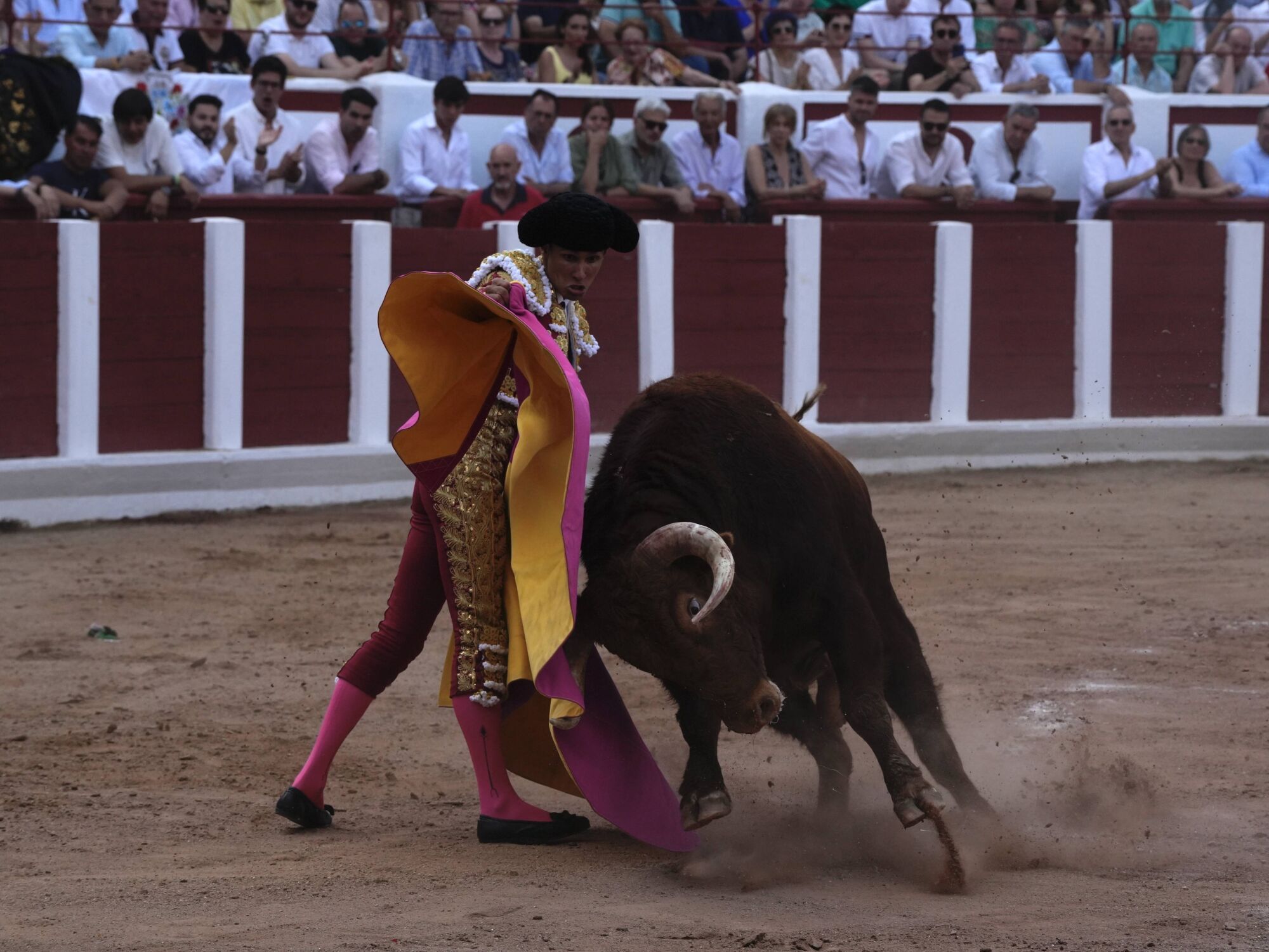 Las mejores imágenes de la feria taurina de San Pedro en Zamora.