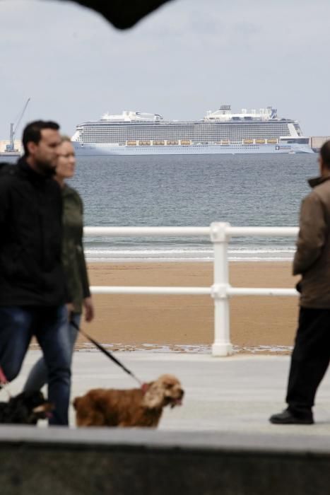 El crucero "Ovation of the Seas" en Gijón