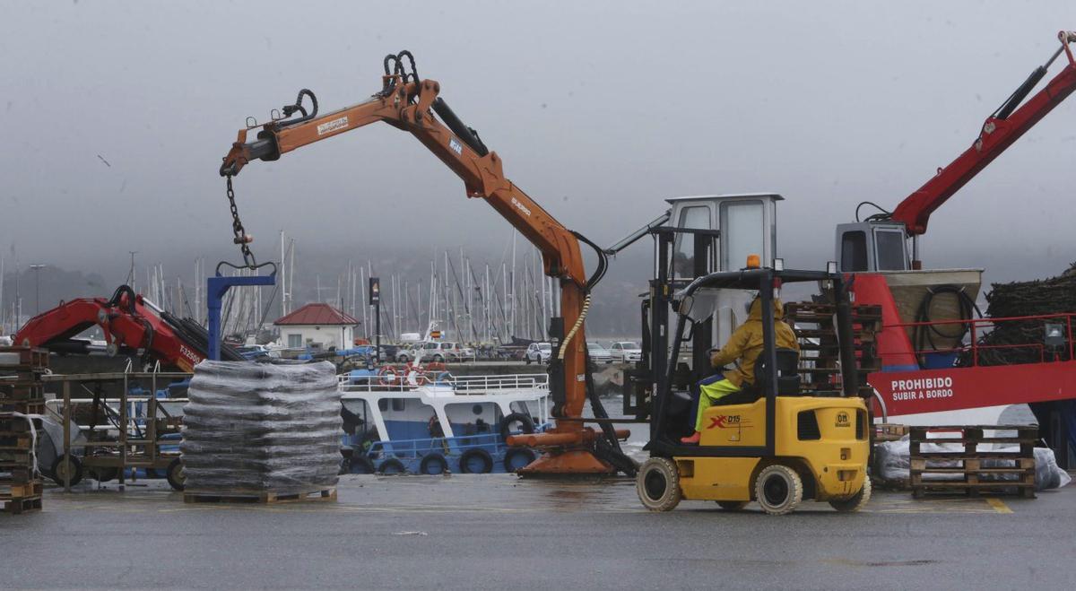 Descarga, ayer, en el muelle moañés de A Mosqueira. | SANTOS ÁLVAREZ