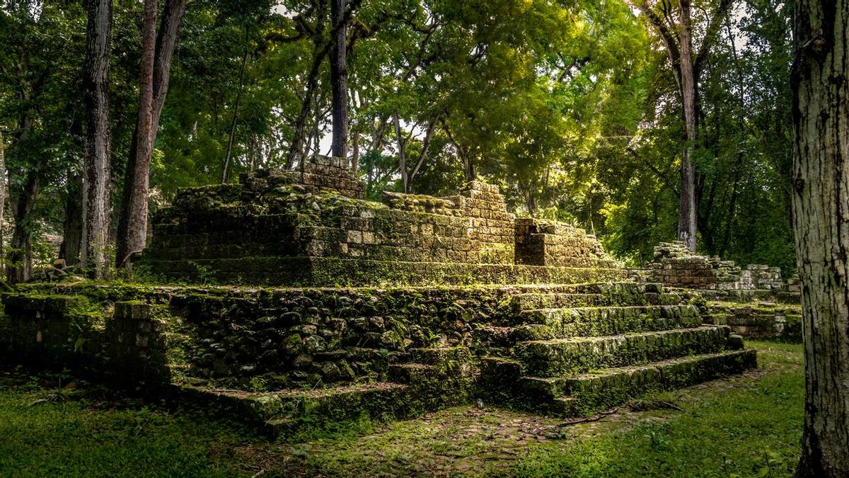 El motivo de su abandono sigue siendo un misterio