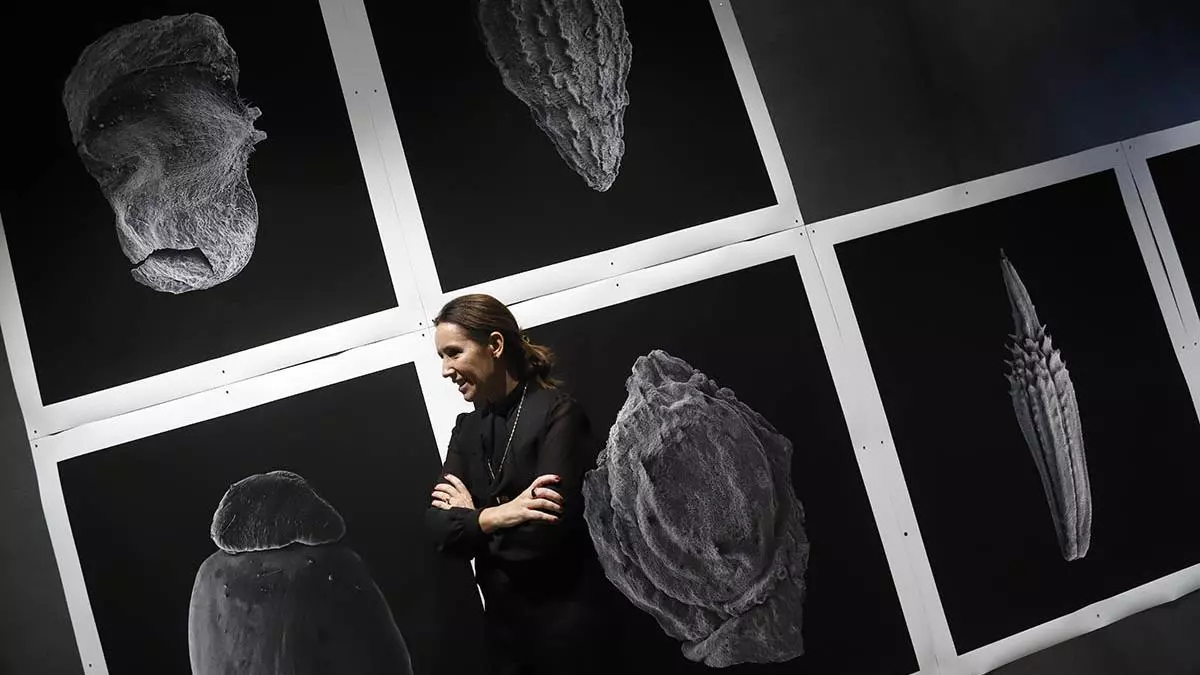 Arte contemporáneo recién salido del horno en las residencias del C3A
