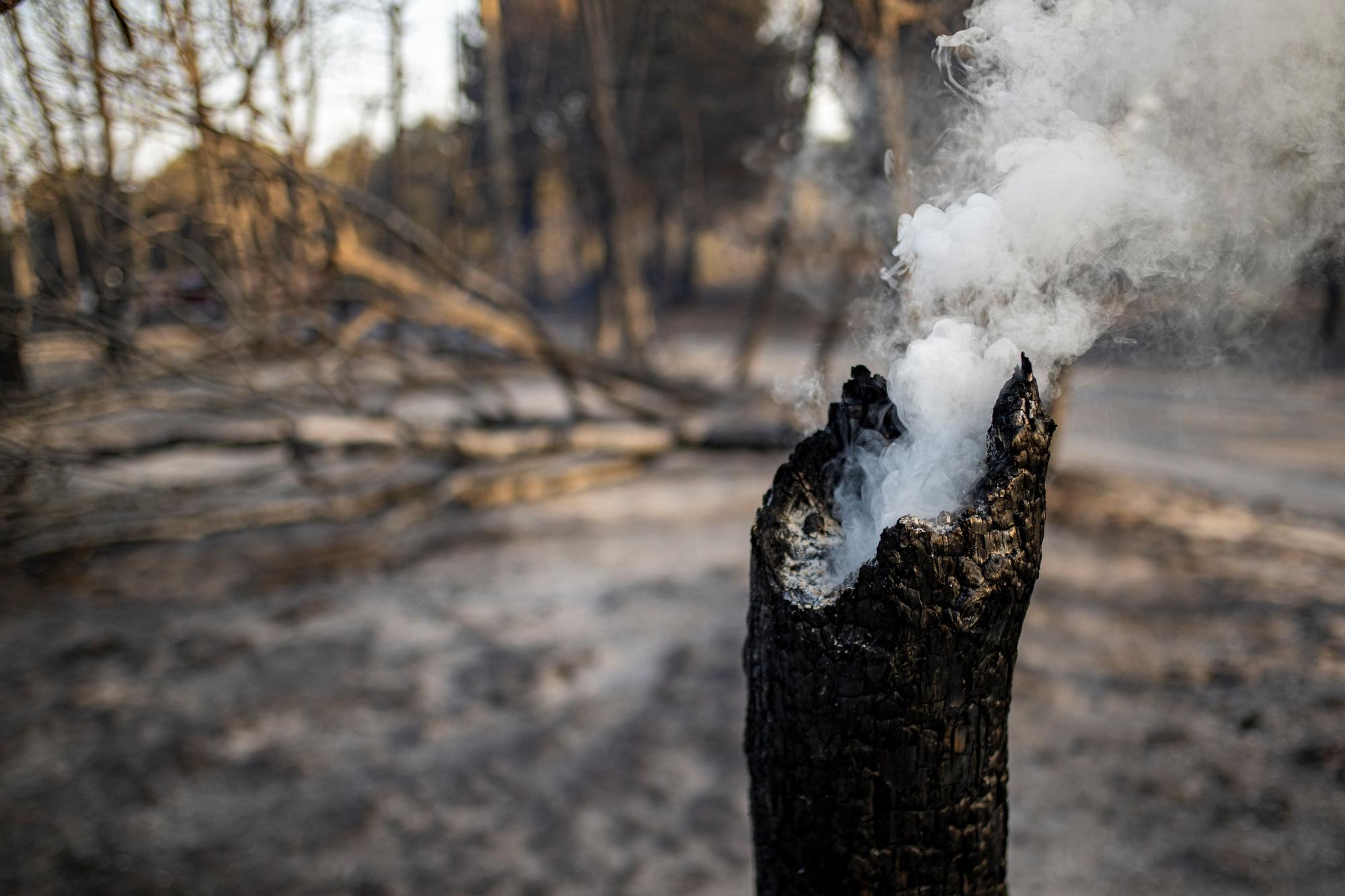 L'incendi de la Catalunya nord, en imatges