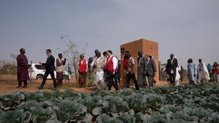 José Manuel Albares visita un proyecto de cooperación en Ganguel (Níger).