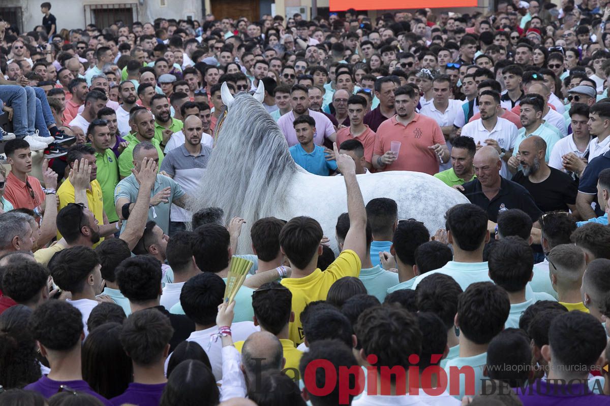 Fiestas de Caravaca | Entrega de premios del concurso morfológico