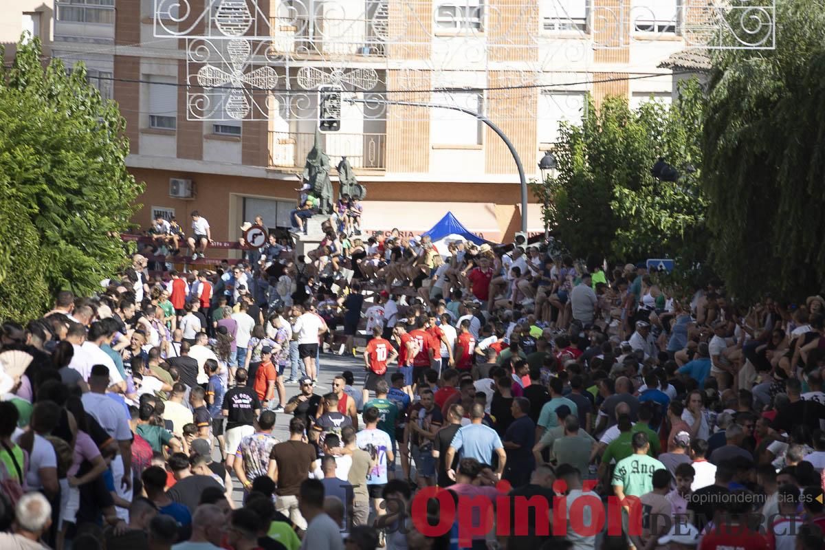 El segundo encierro de las Fiestas de Moratalla se salda con un herido