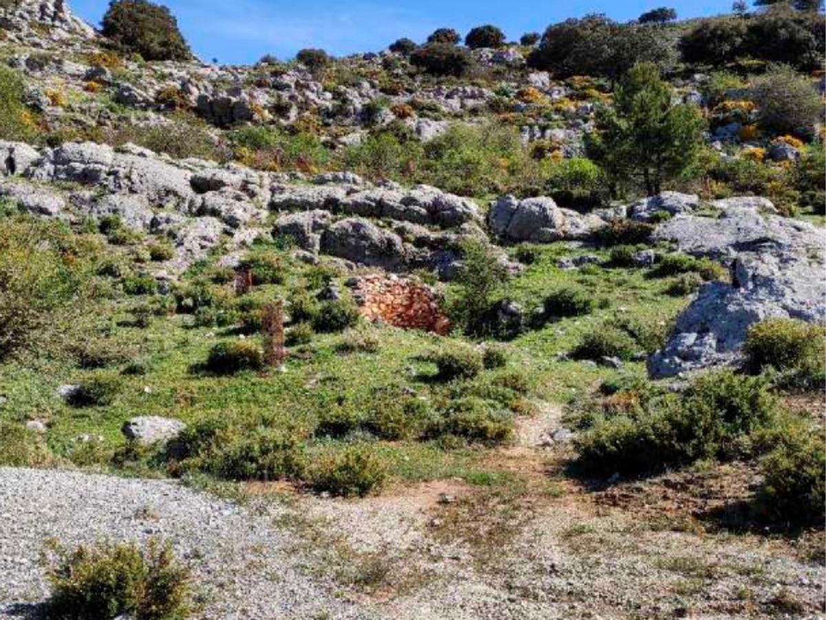 Entorno de la calera de Parauta.